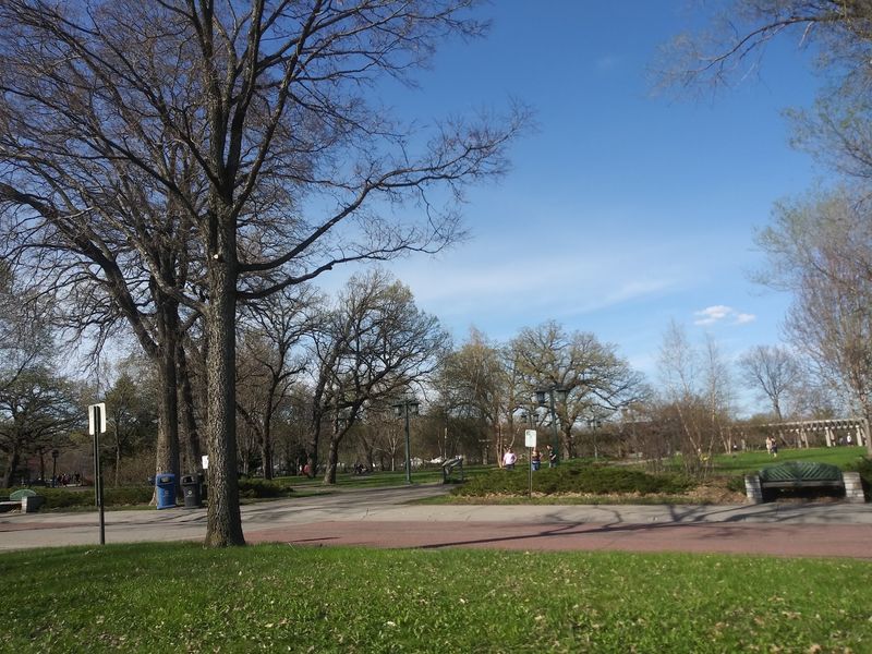 The Park Setting That Surrounds It All The Park Setting That Surrounds It All
