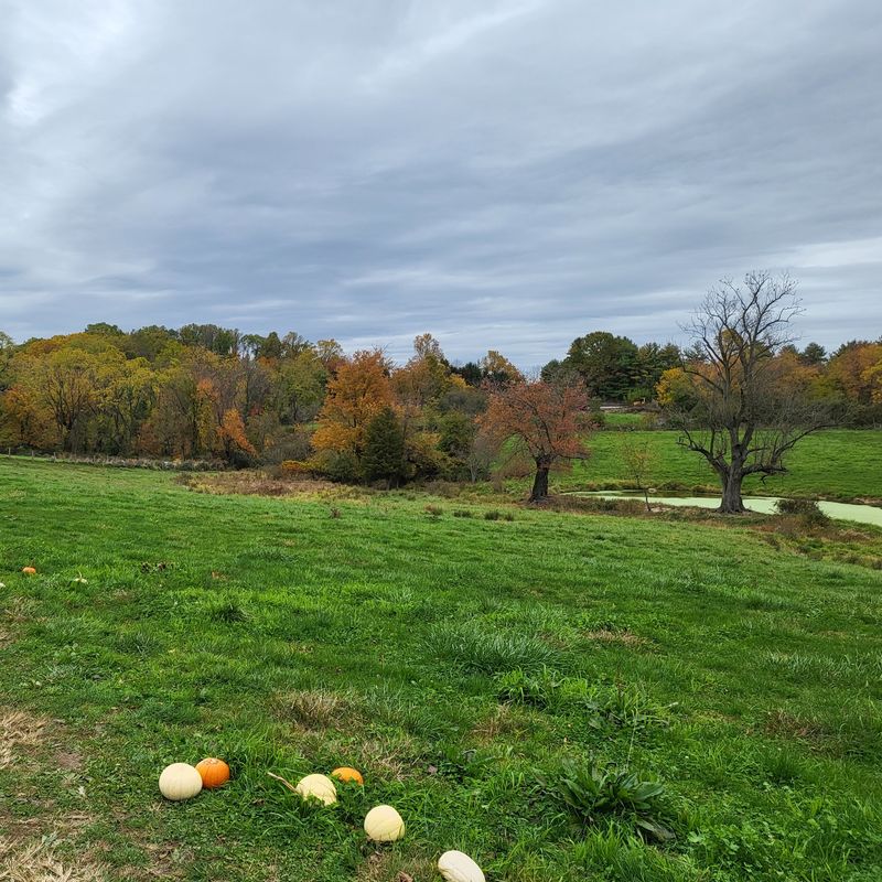 The Pastoral Setting That Makes You Slow Down
