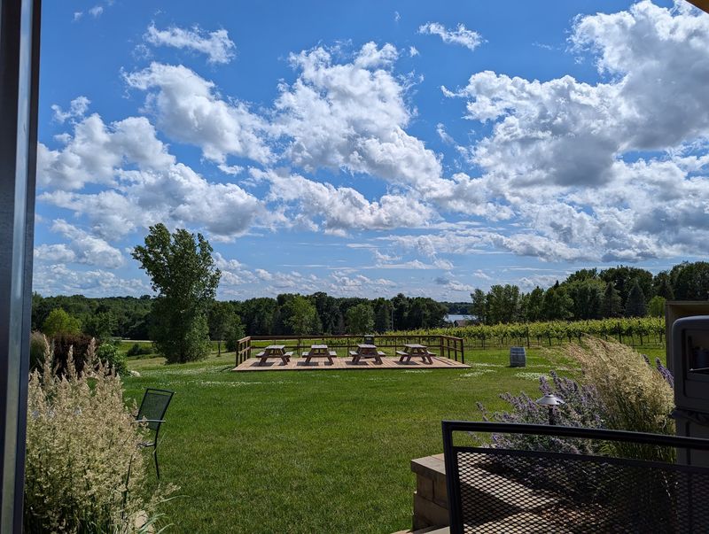 The Patio View That Stops Conversations Mid-Sentence