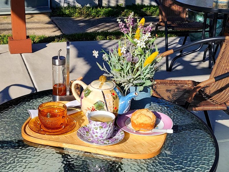 The Pauline Tea-Bar Apothecary, Charlotte, NC The Pauline Tea-Bar Apothecary, Charlotte, NC