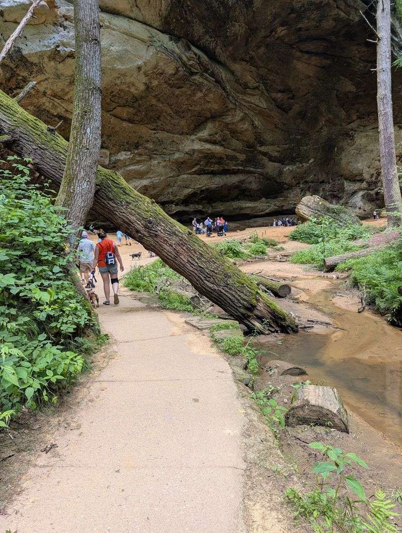 The Paved Trail That Makes It Accessible to Almost Everyone The Paved Trail That Makes It Accessible to Almost Everyone