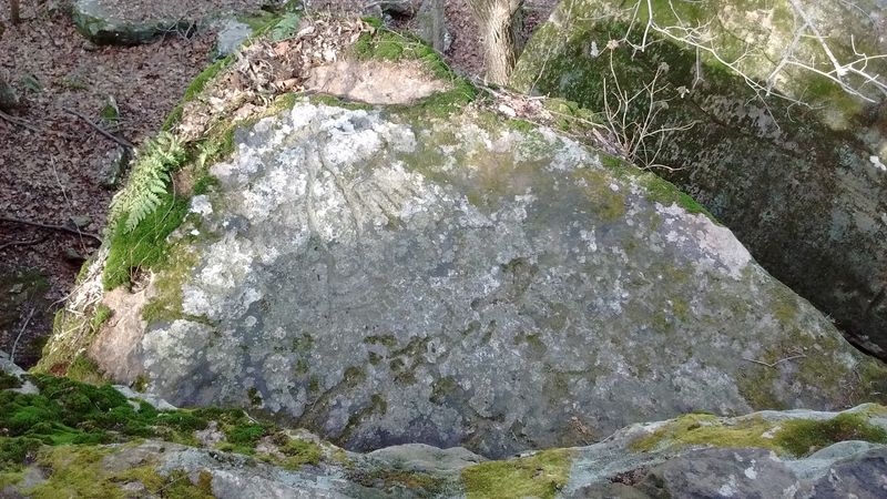 The Petroglyphs and What Makes Them Special The Petroglyphs and What Makes Them Special