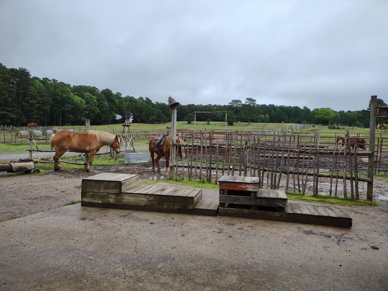 The Petting Corral and Farm Animals That Delight Younger Visitors