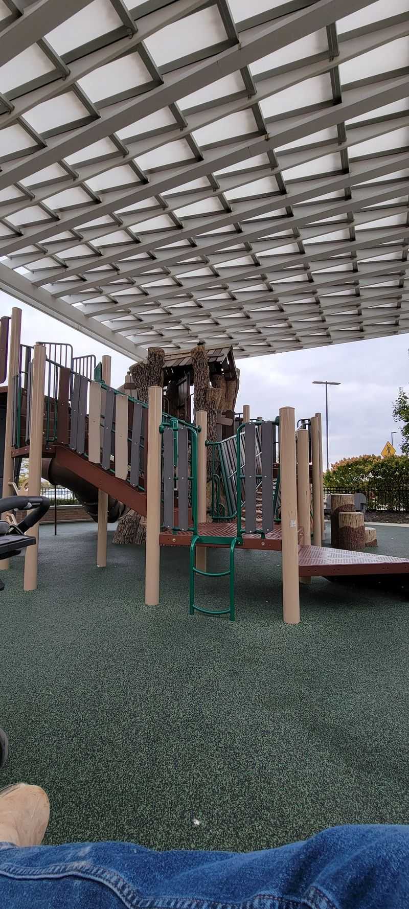 The Playground and Why Families Keep Coming Back The Playground and Why Families Keep Coming Back