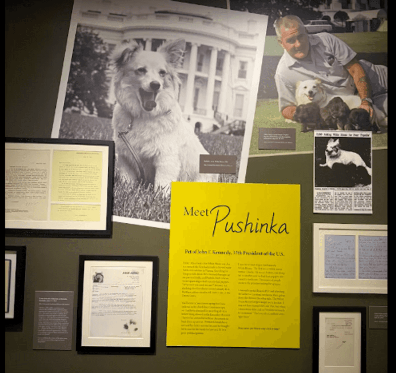 The Presidential Pets Exhibit Everyone Remembers The Presidential Pets Exhibit Everyone Remembers