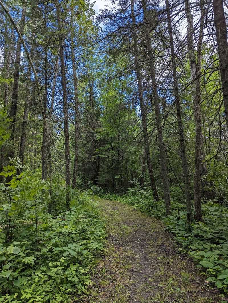 The Quiet That Only Remote Parks Deliver The Quiet That Only Remote Parks Deliver