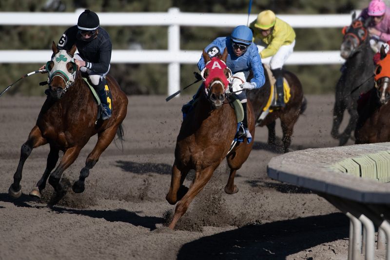 The Racetrack That Puts Spring on the Calendar The Racetrack That Puts Spring on the Calendar
