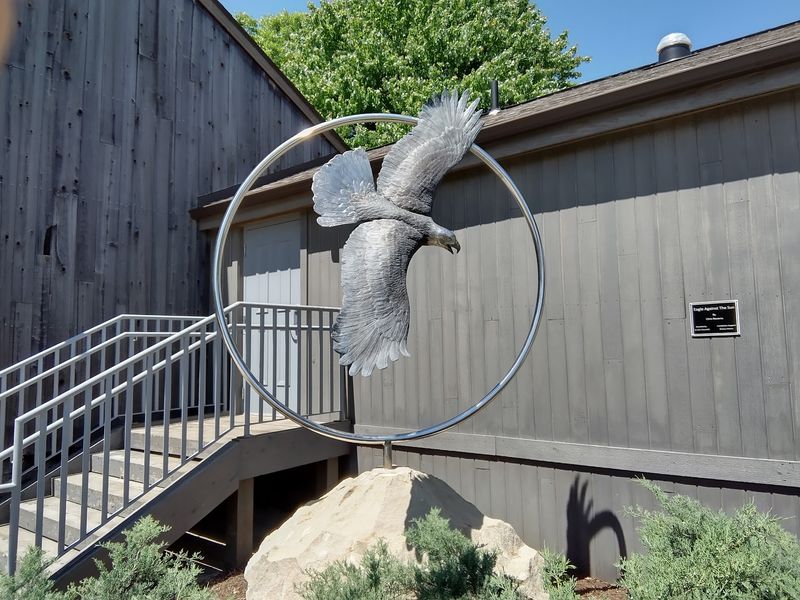 The Raptor Center and Avian Health Mission