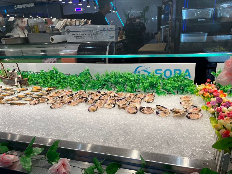 The Raw Bar and Its Oysters The Raw Bar and Its Oysters