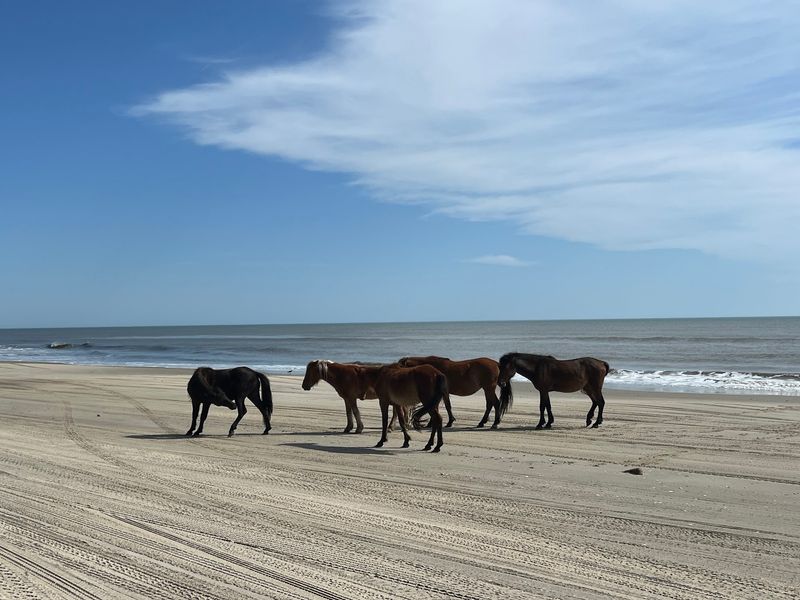 The Real Payoff Is Quiet Coastal Access The Real Payoff Is Quiet Coastal Access