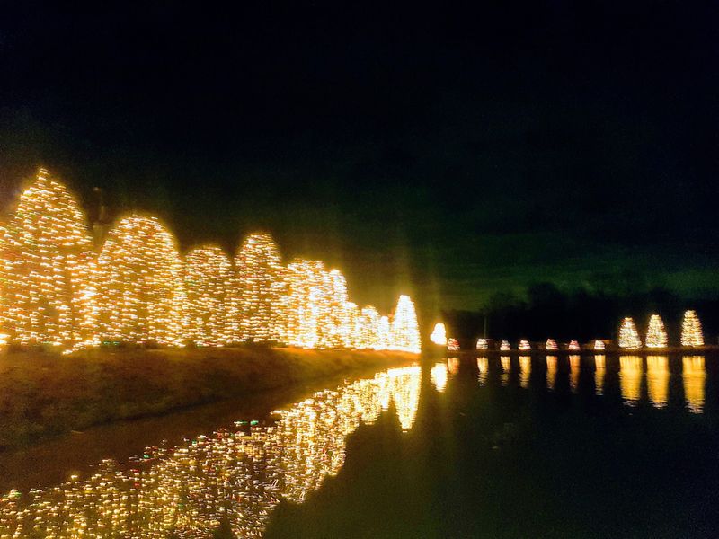 The Reflection of Lights Across the Water The Reflection of Lights Across the Water