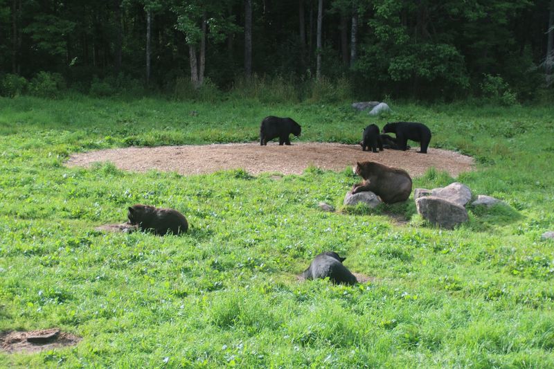The Remarkable Story Behind the Sanctuary