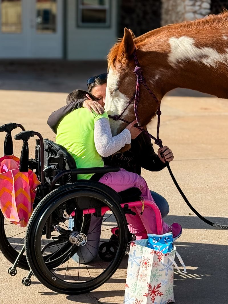 The Rescued Animals and Their Second Chances The Rescued Animals and Their Second Chances