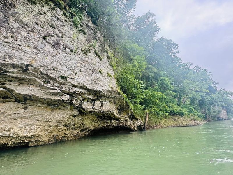 The River Scenery That Makes the Float Truly Special The River Scenery That Makes the Float Truly Special