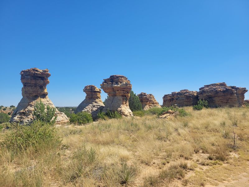 The Rock Garden Loop and Other Trails Within the Park The Rock Garden Loop and Other Trails Within the Park