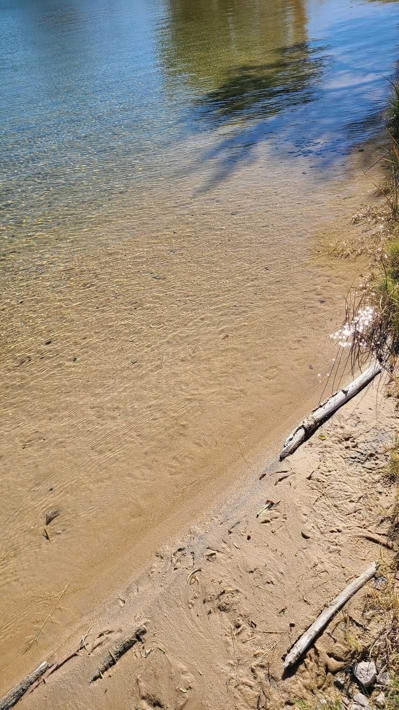 The Sand-Bottom Pool That Sets This Place Apart The Sand-Bottom Pool That Sets This Place Apart