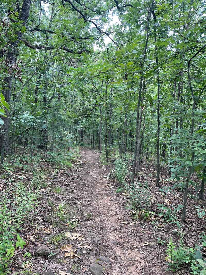The Sawtooth Section - Where Beginners Find Their Footing The Sawtooth Section - Where Beginners Find Their Footing