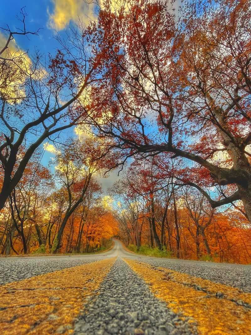 The Scenic Road That Earns Its Name