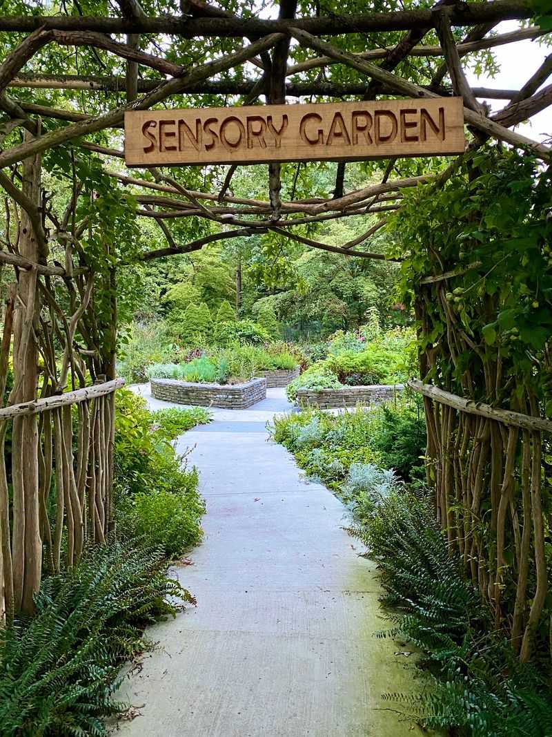 The Sensory Garden Near The Entrance