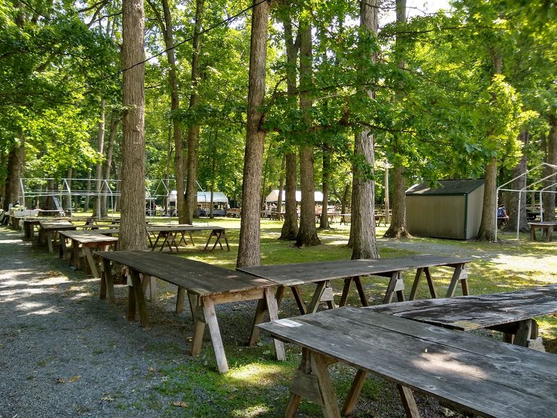 The Shaded Setting That Makes Summer Shopping Bearable The Shaded Setting That Makes Summer Shopping Bearable