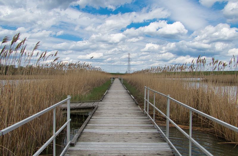 The Short Walk That Feels Bigger Than Two Miles The Short Walk That Feels Bigger Than Two Miles