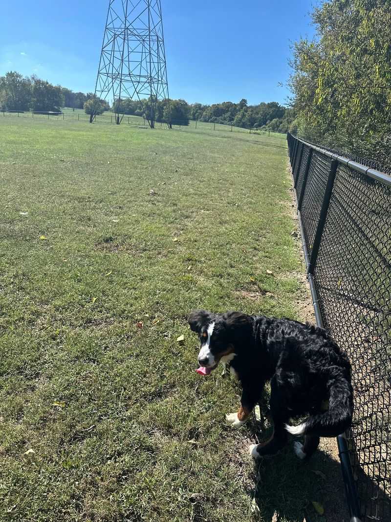 The Spacious Dog Park by the Dam The Spacious Dog Park by the Dam