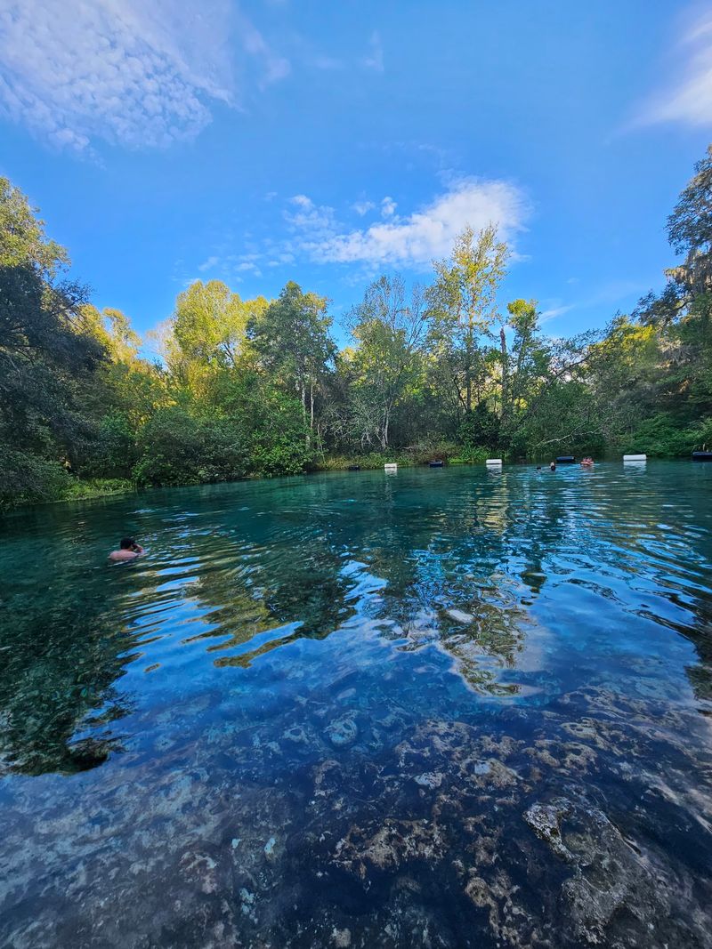 The Spring That Steals the Show The Spring That Steals the Show