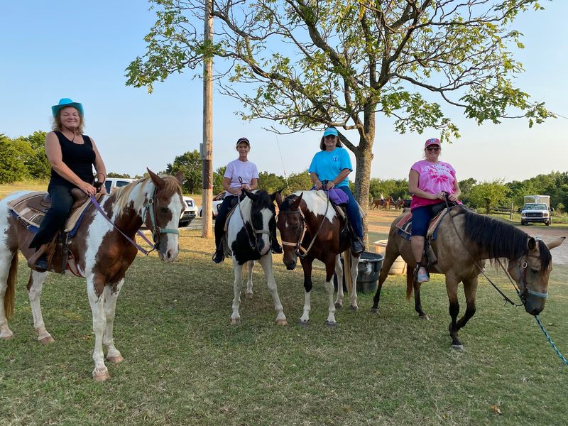 The Stable's Story and the People Behind It The Stable's Story and the People Behind It
