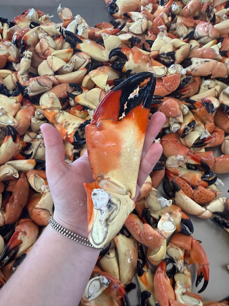 The Stone Crab Capital Setting