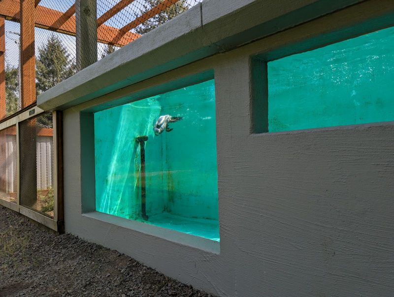 The Story Behind Every Enclosure The Story Behind Every Enclosure