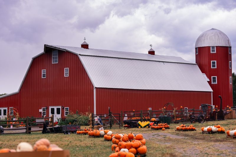 The Story Behind the Farm The Story Behind the Farm