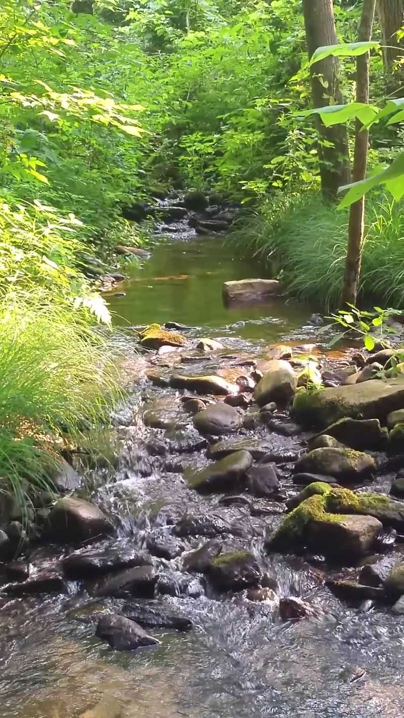 The Story Behind the Fishing Pond That Almost Did Not Survive