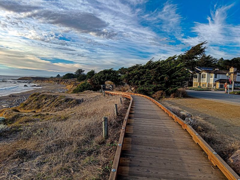 The Story Behind the Pines and the Shore The Story Behind the Pines and the Shore