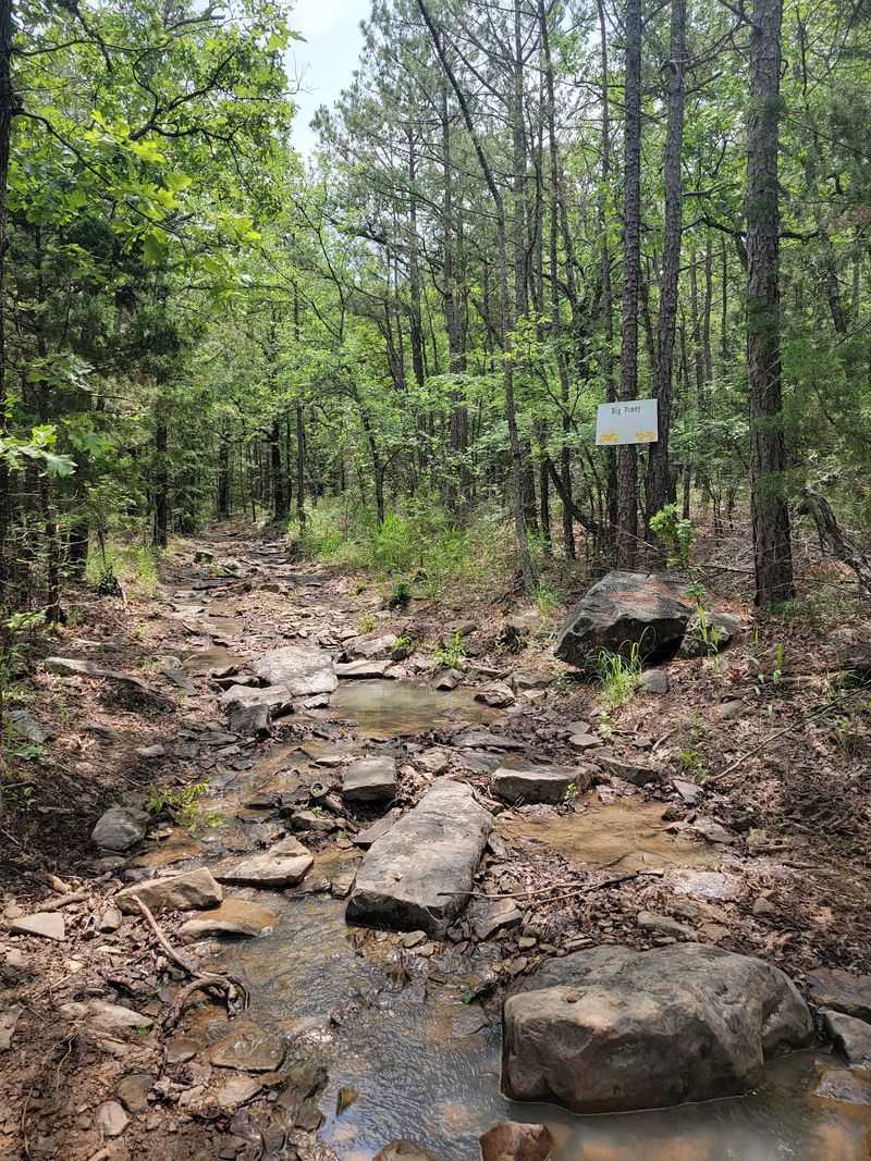 The Story Behind the Trails The Story Behind the Trails