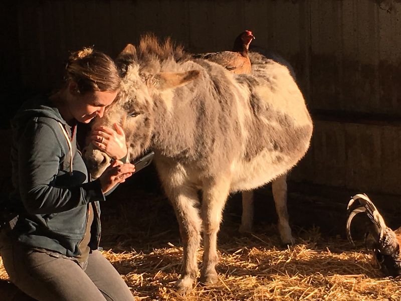The Story Of A Second-Chance Farm The Story Of A Second-Chance Farm