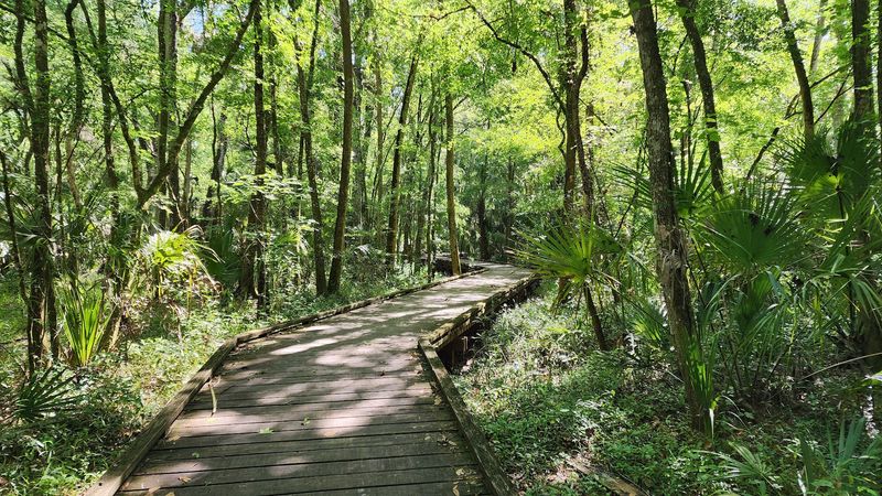 The Story of a Preserve Built to Stay Wild The Story of a Preserve Built to Stay Wild