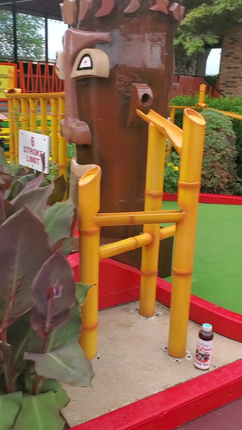 The Strict 48-Inch Height Requirement The Strict 48-Inch Height Requirement