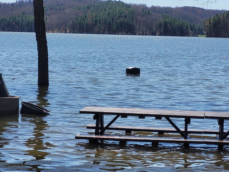 The Submerged Story Beneath the Water The Submerged Story Beneath the Water