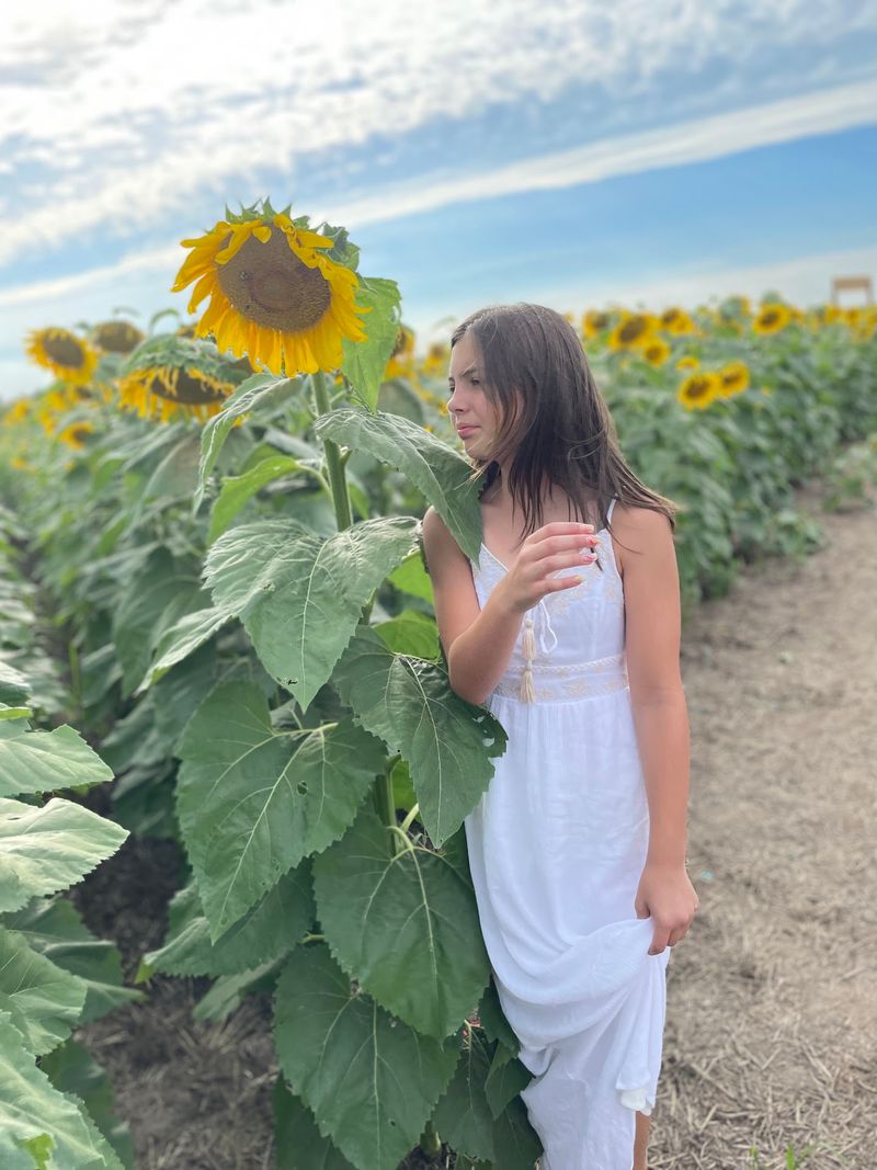 The Sunflower Maze Worth Getting Lost In