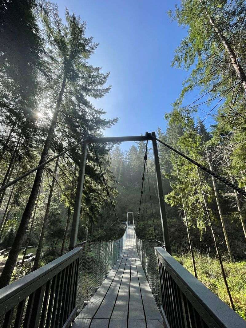 The Suspension Bridge Everyone Talks About The Suspension Bridge Everyone Talks About