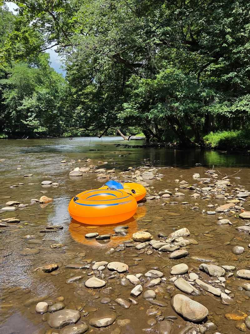The Swimming Holes Worth Pausing For The Swimming Holes Worth Pausing For