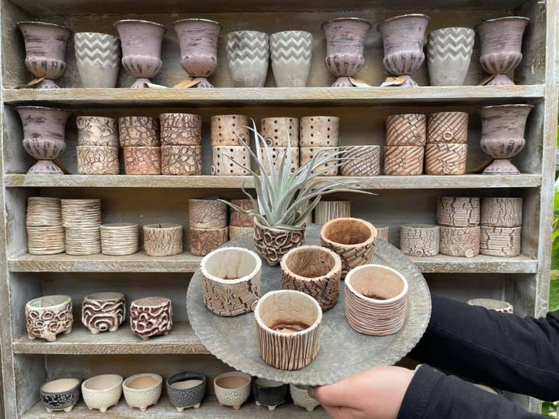 The Terrarium and Succulent Classes Worth Signing Up For The Terrarium and Succulent Classes Worth Signing Up For