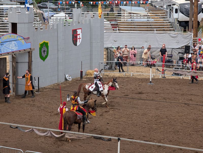 The Thunder of Charging Knights The Thunder of Charging Knights