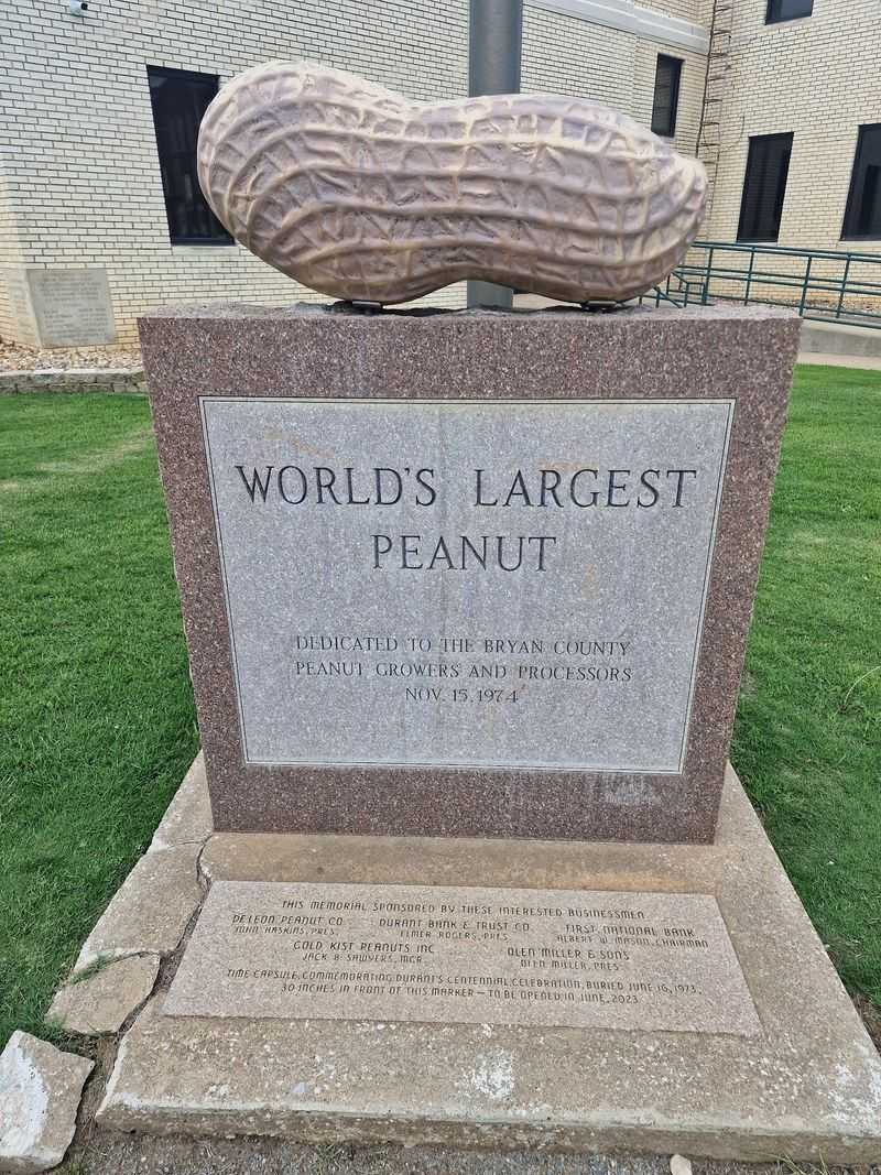 The Time Capsule Buried Beneath the Sidewalk