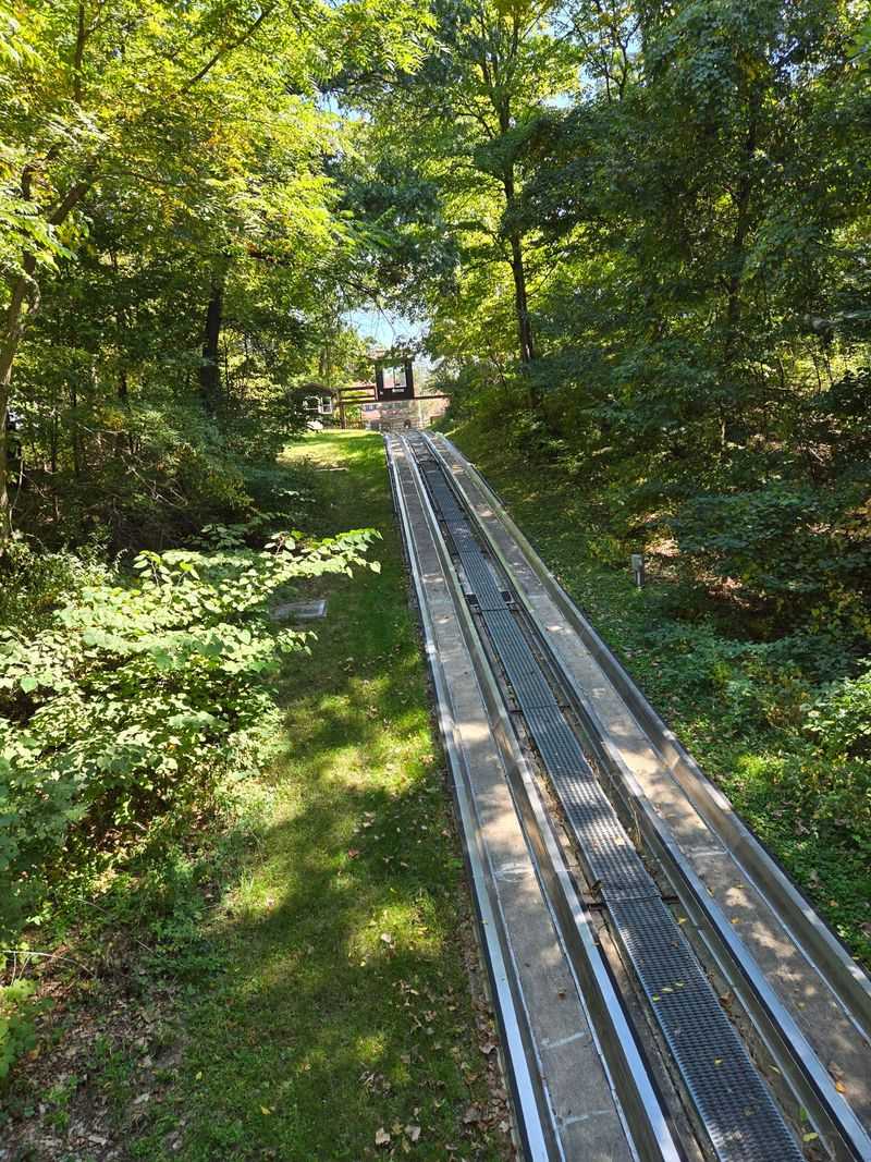 The Toboggan Run Everyone Talks About The Toboggan Run Everyone Talks About