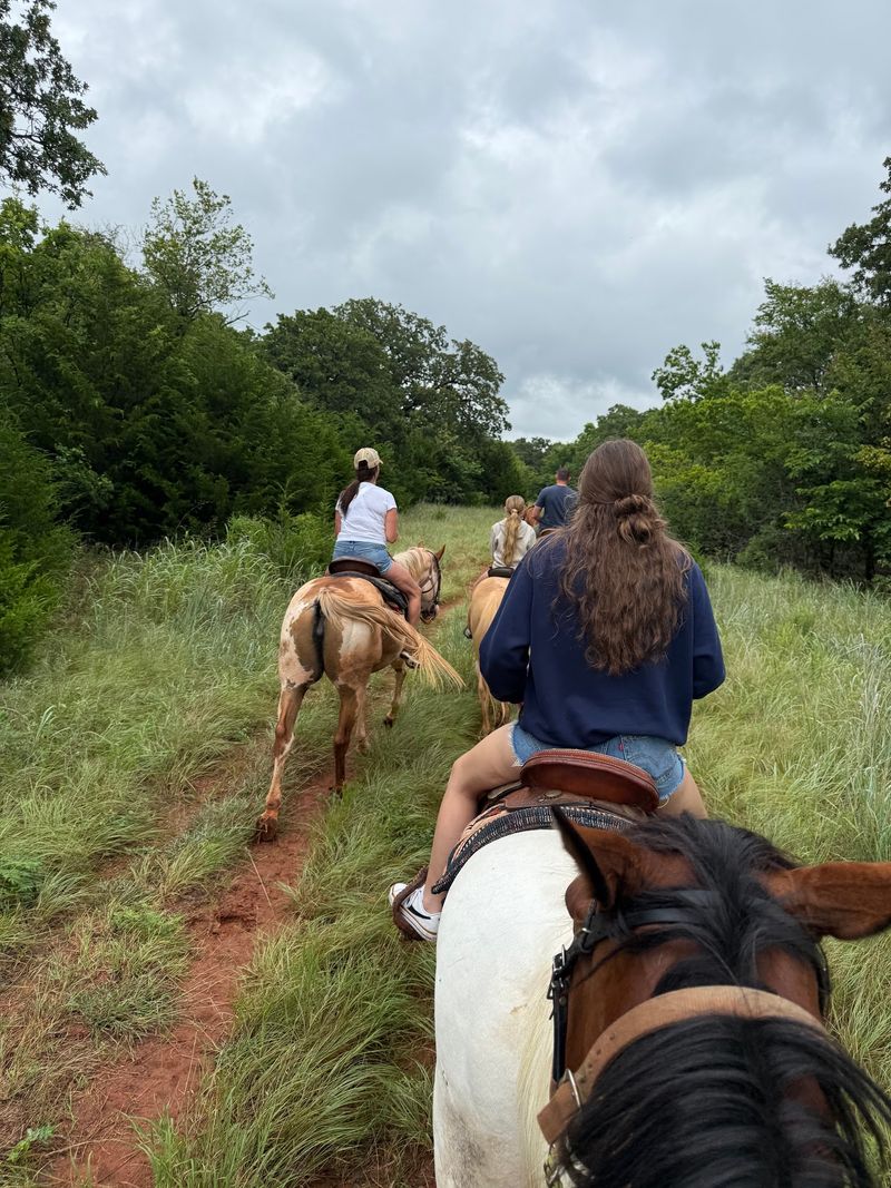 The Trail Itself - Scenery Worth Saddling Up For The Trail Itself - Scenery Worth Saddling Up For