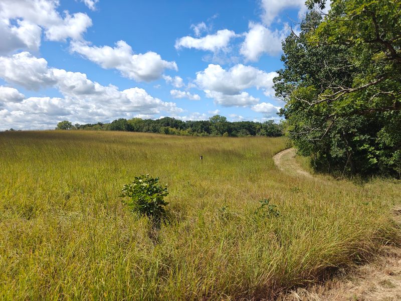 The Trail System Beyond the Boardwalk