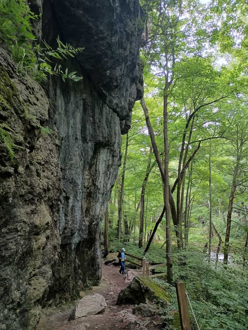 The Trail System and What to Expect Underfoot