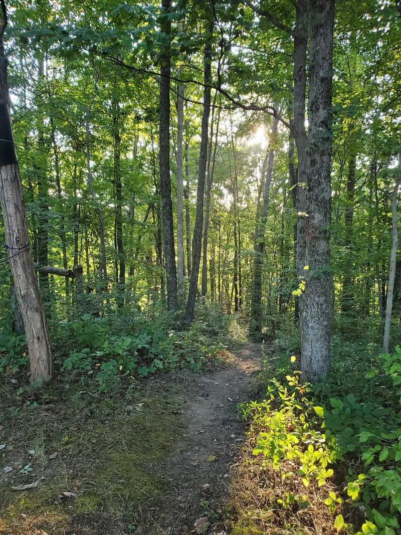 The Trails Worth Wandering