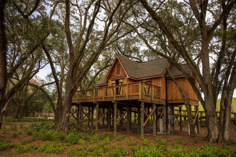 The Treehouse That Makes Grown-Ups Feel Like Kids The Treehouse That Makes Grown-Ups Feel Like Kids